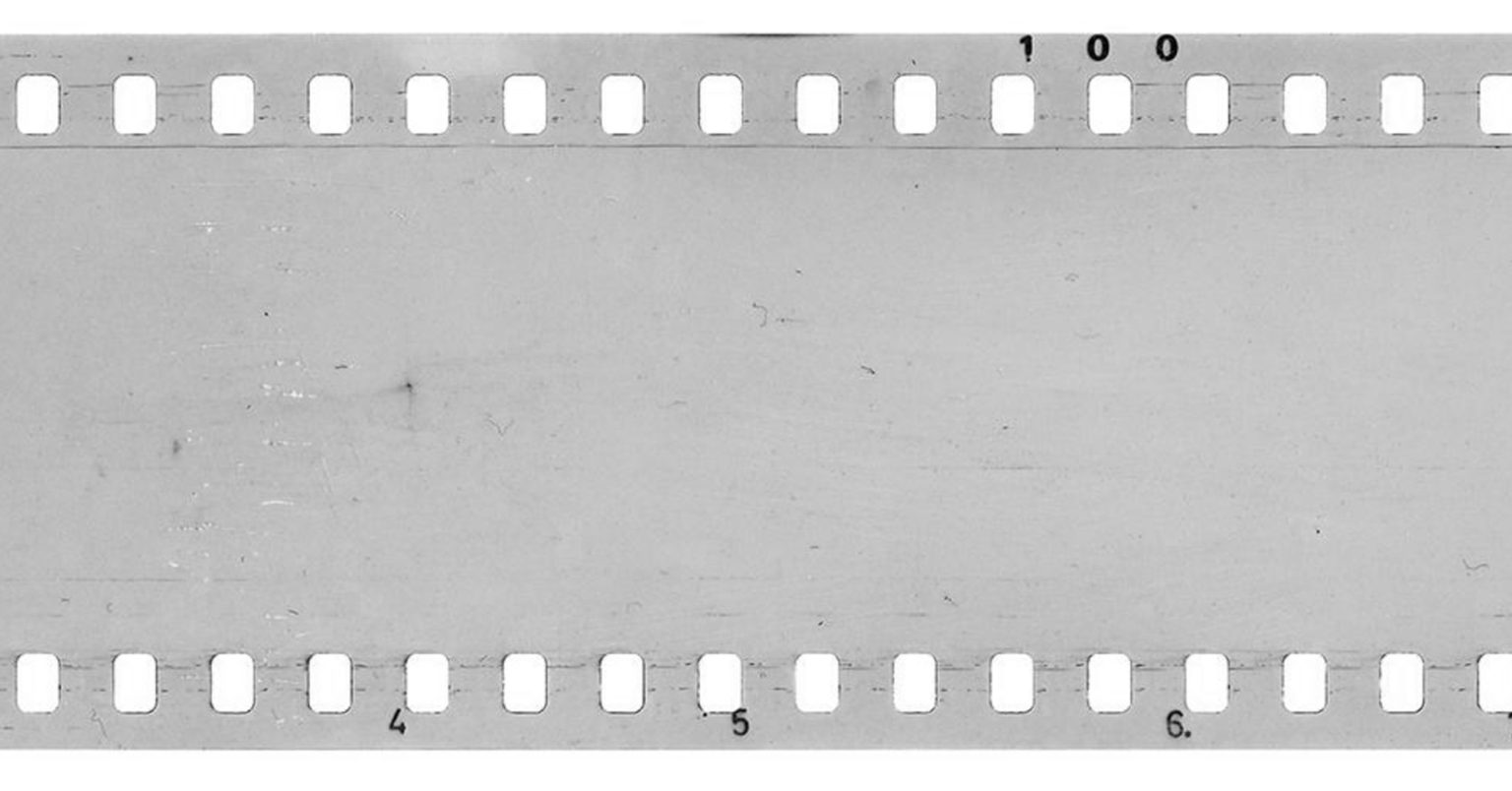 How to Avoid Blank Film Negatives – The Photography Professor – Film ...