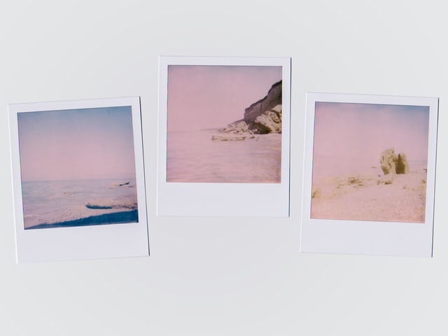 Is Polaroid Ink Toxic The Answer Might Surprise You The Photography 