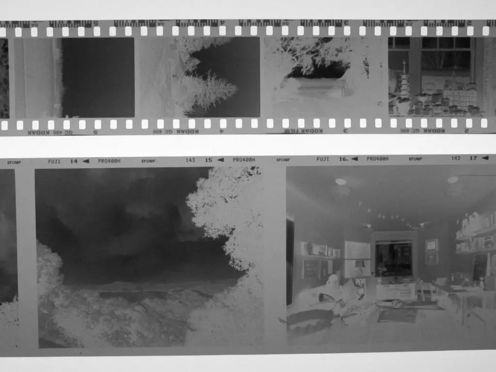 35mm (top) vs Medium Format 6x6cm (bottom) black & white negatives