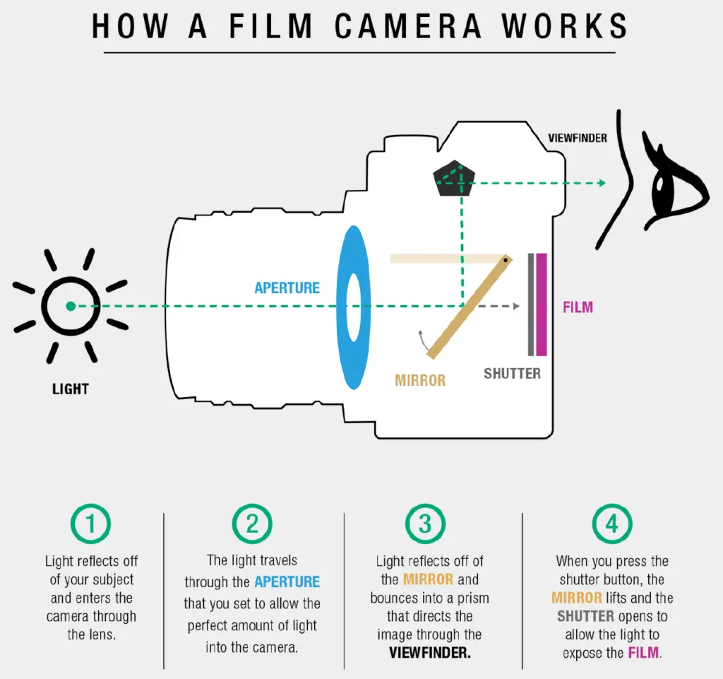 How an SLR film camera works