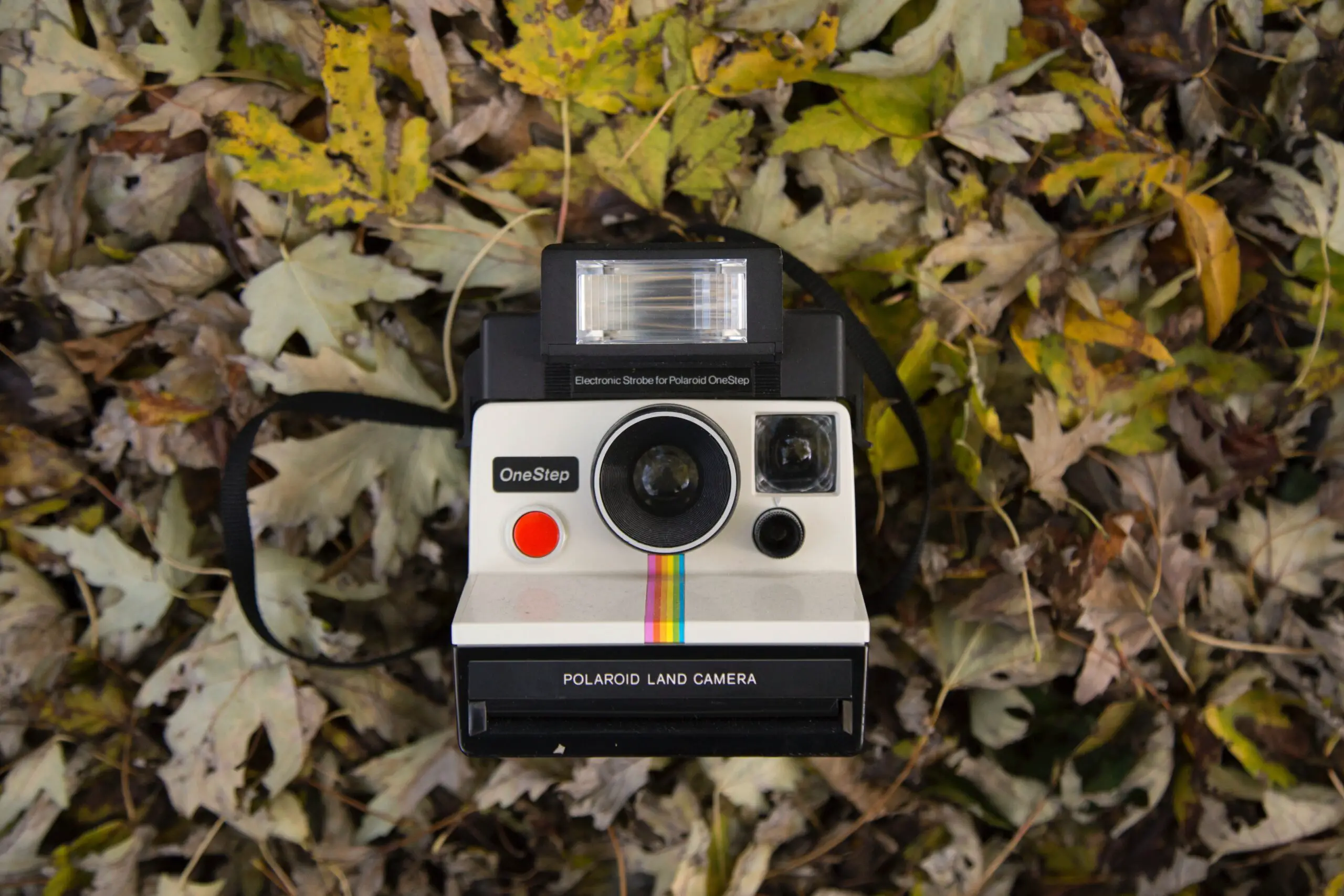 All About Instant Cameras