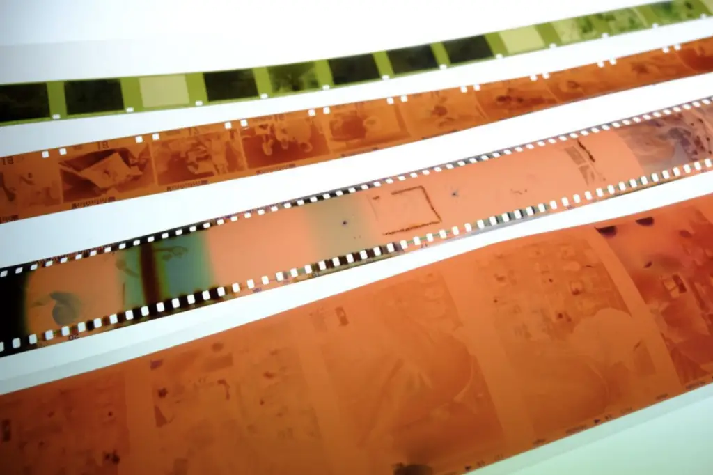 How Many Shots Are In A Roll of Film? The Photography Professor