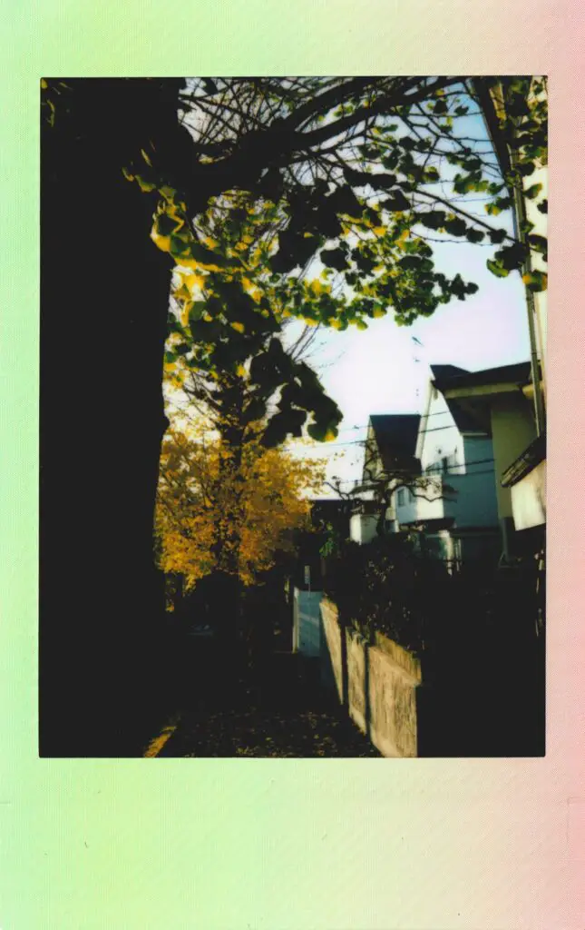 An example of how Instax cameras are limited when it comes to shooting images with contrasty scenes